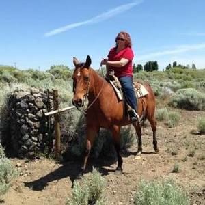 Meet your Posher, Carol